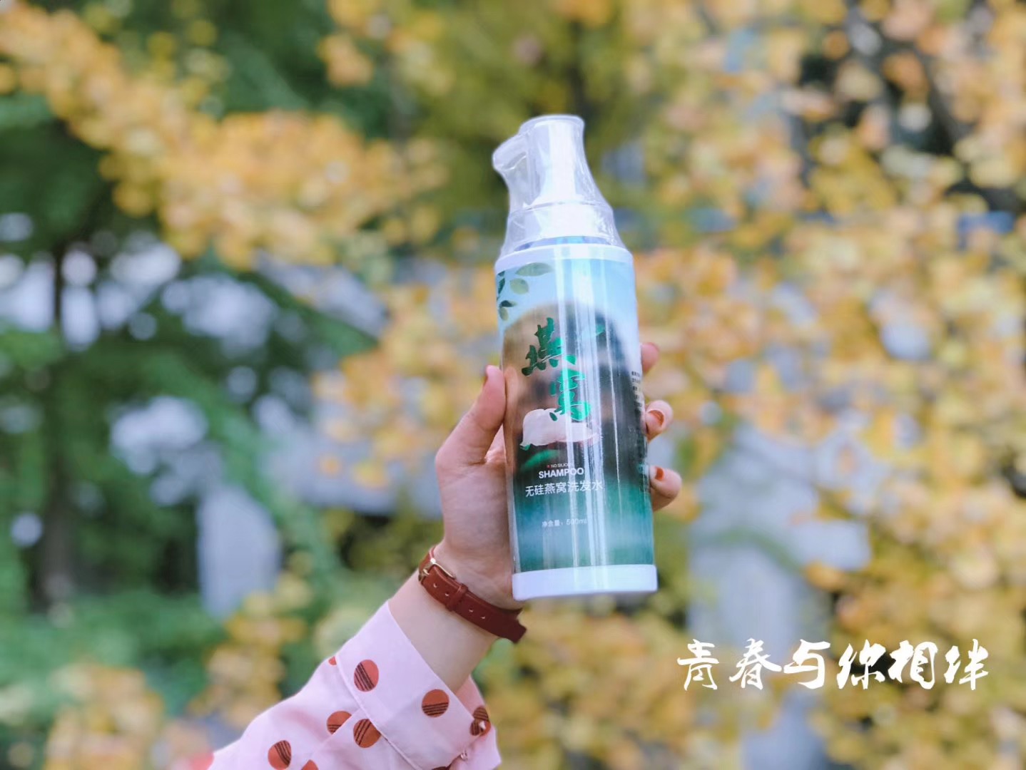 河南劲泷化妆品有限公司植物养发加盟
